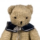 Teddy