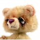 Darsy